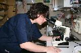 MICROSCOPE